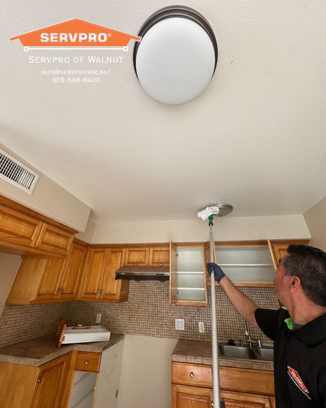 Project Expert Kitchen Ceiling Cleaning in Walnut image
