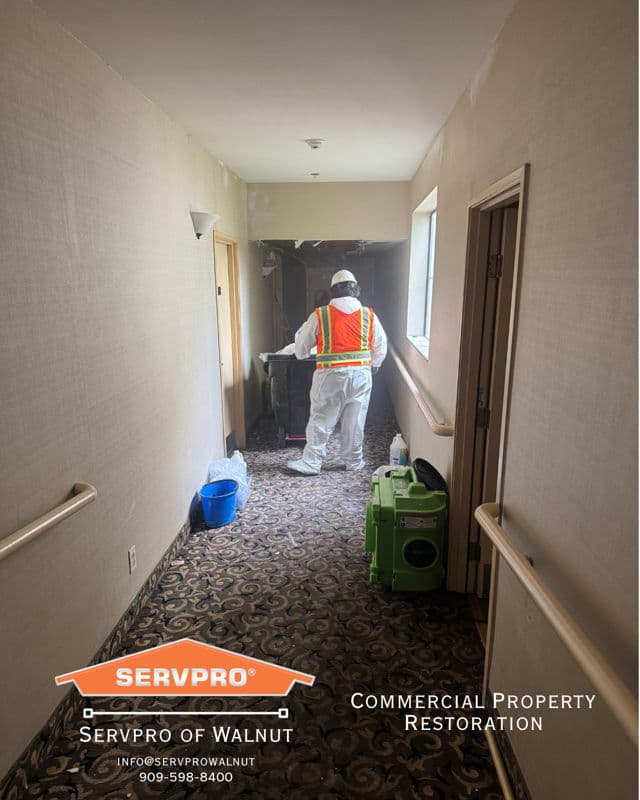 Project Expert Commercial Restoration Solutions image