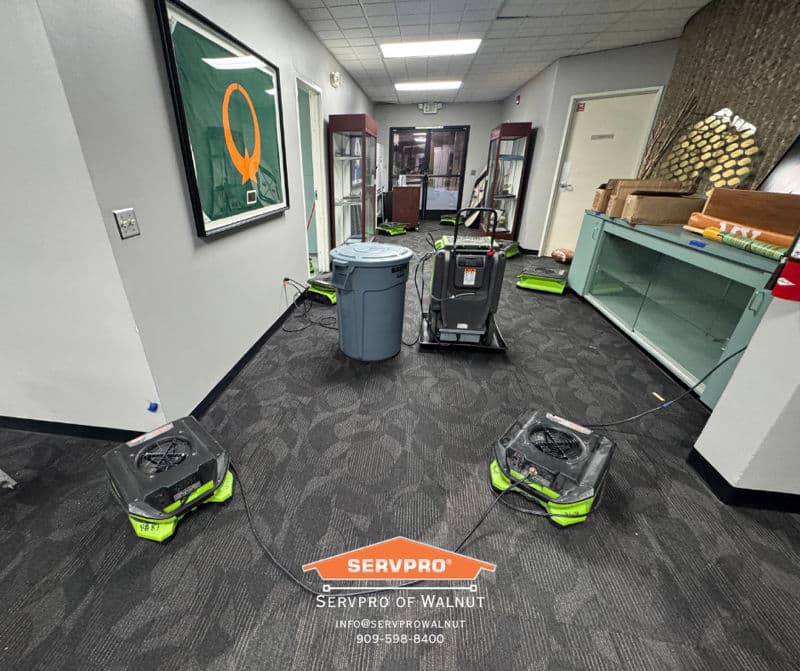 Project Fast and Efficient Water Damage Mitigation image