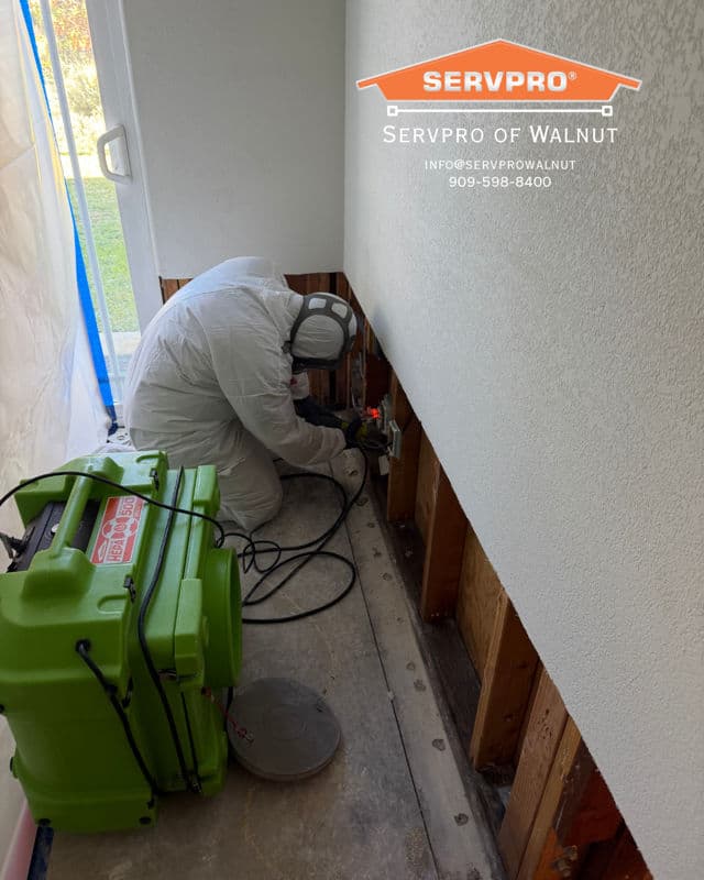 Mold and Bacteria Remediation by SERVPRO of Walnut image
