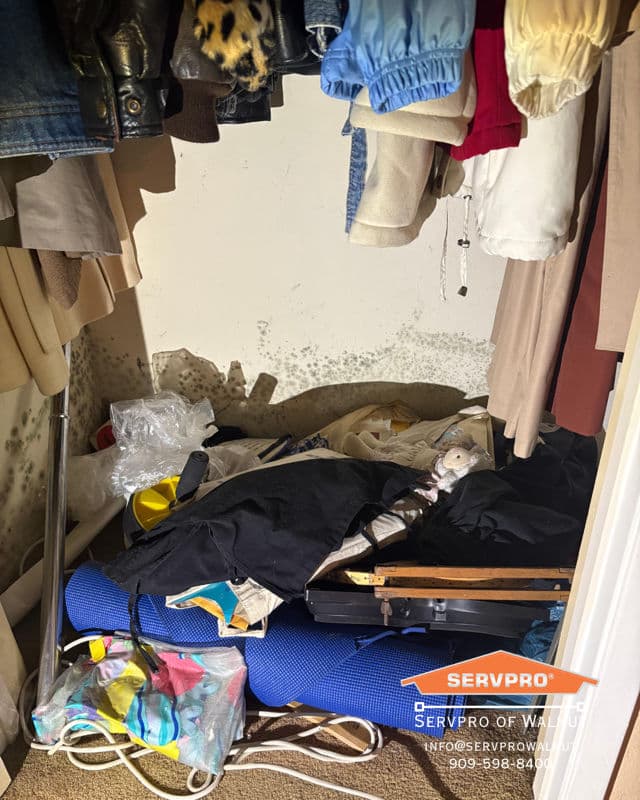 Project SERVPRO of Walnut Tackles Mold Challenges image