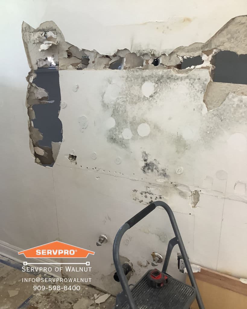 Project Unveiling Hidden Dangers with Mold Remediation image