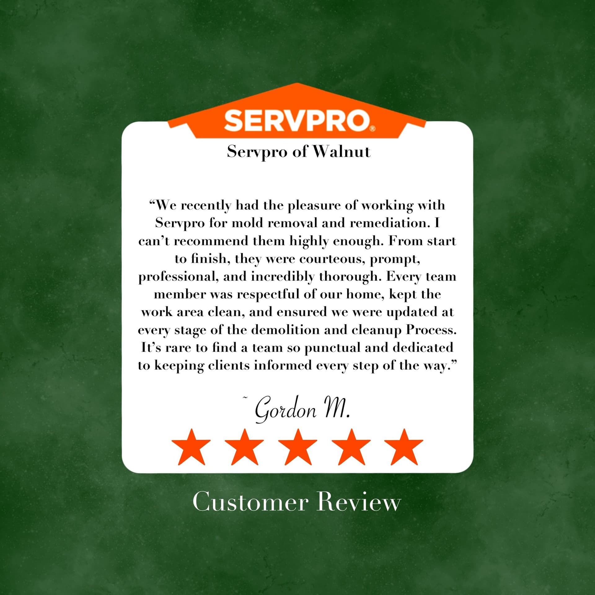 Five-Star Review Highlights Exceptional Mold Remediation