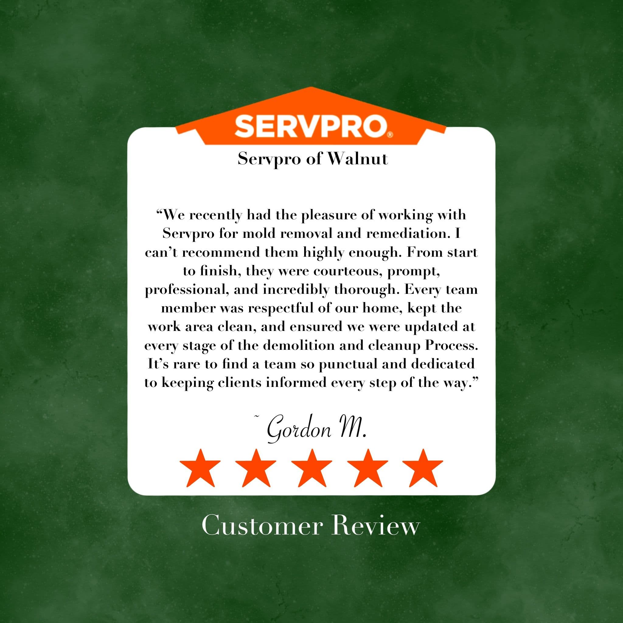 Project Five-Star Review Highlights Exceptional Mold Remediation image