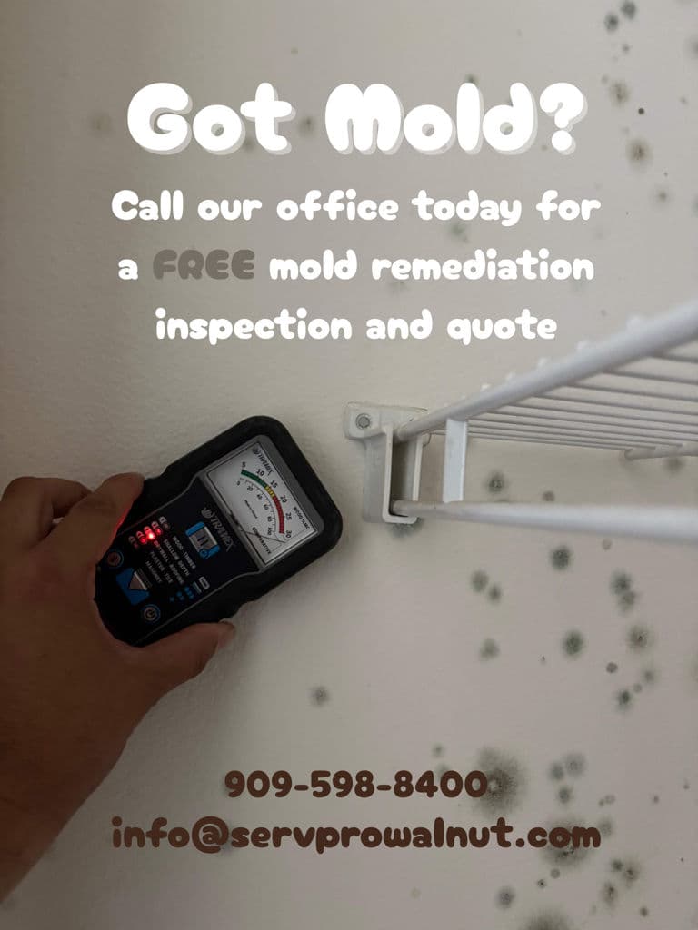 Free Mold Remediation Inspection and Quote