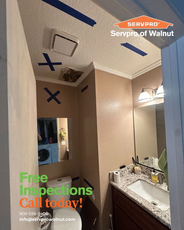 Free Inspections for Mold Remediation Needs image