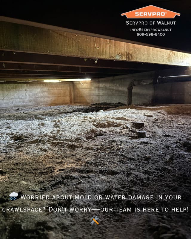 Project Crawlspace Mold and Water Damage Solution image