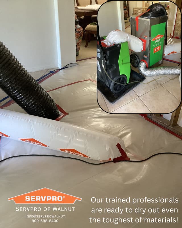 Professional Water Damage Restoration image