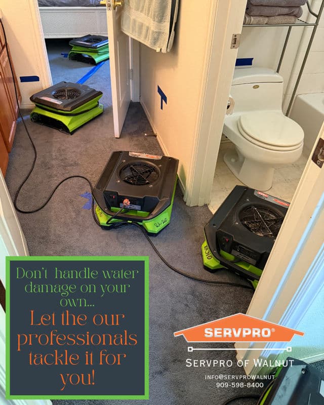 Expert Water Damage Restoration Services image