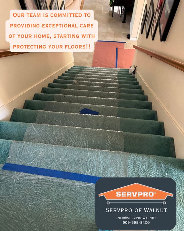 Exceptional Floor Protection During Renovations image