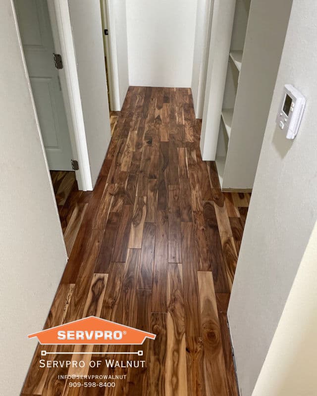 Expert Flooring Restoration by SERVPRO image