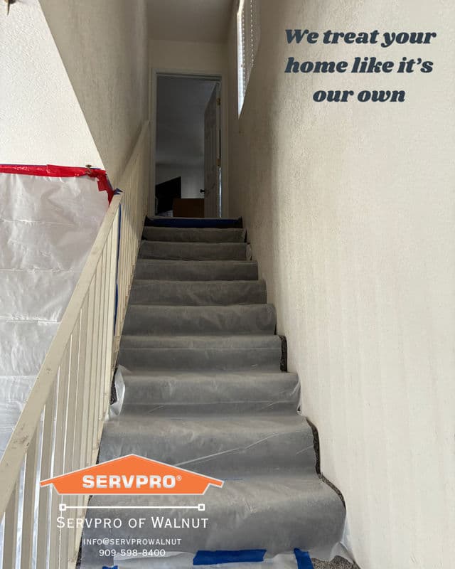 Top-Notch Home Care and Restoration Services