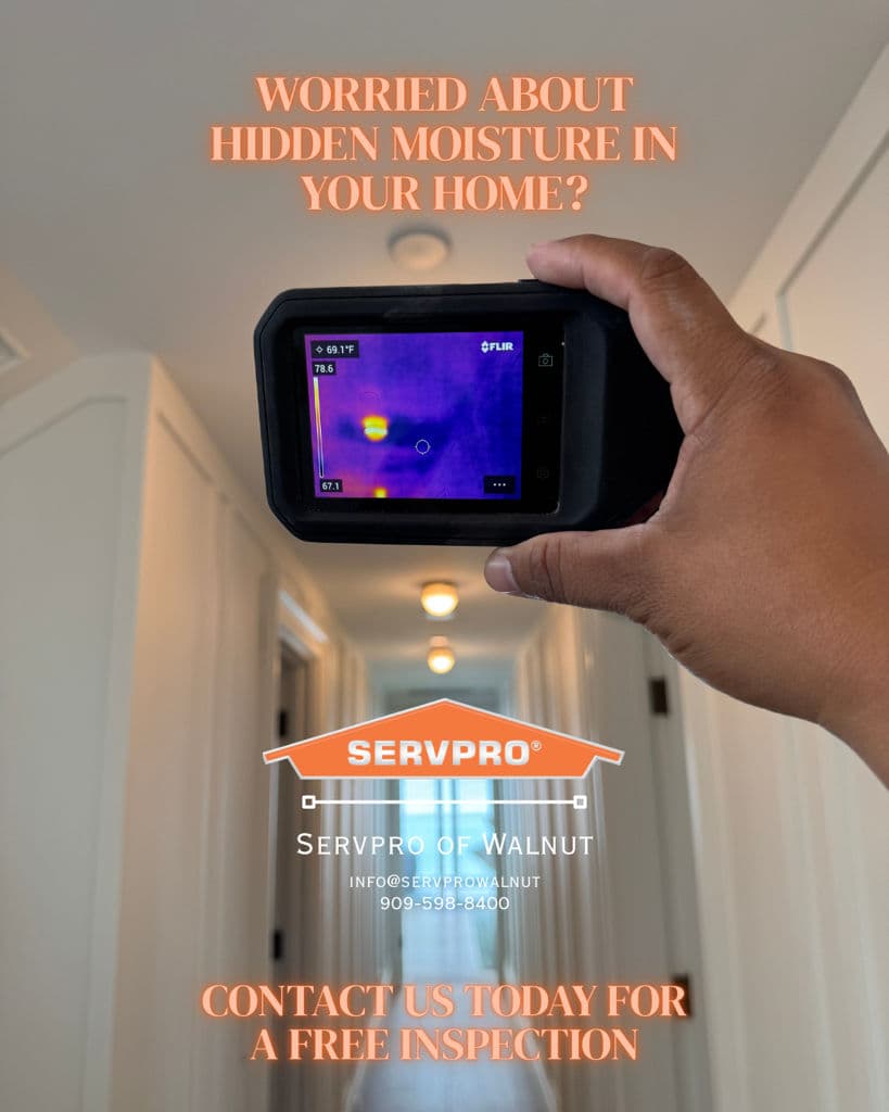 Detect Hidden Moisture in Your Home image