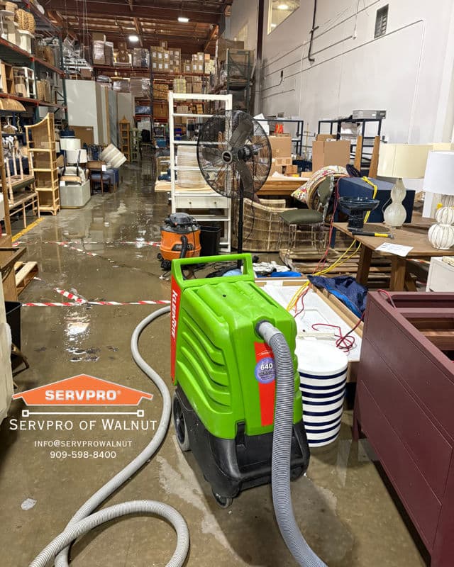 Expert Flood Cleanup in Action image