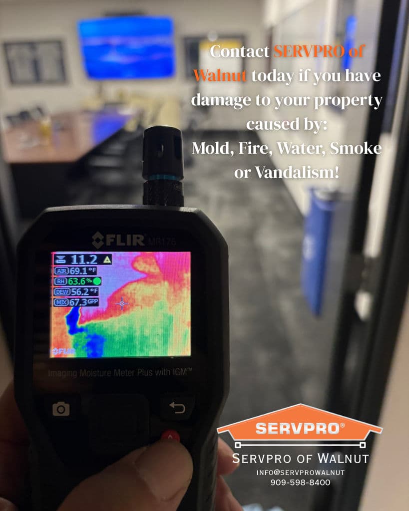 Top Tools for Comprehensive Damage Recovery image