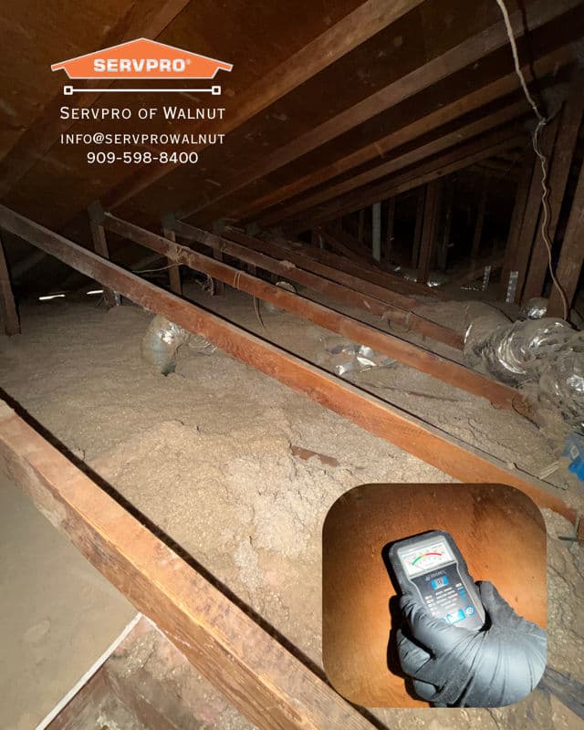 Expert Attic Inspections for Moisture Detection image